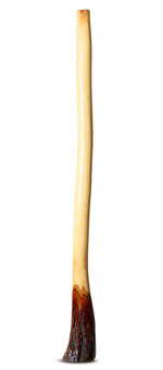 Ironbark Didgeridoo (IB213)